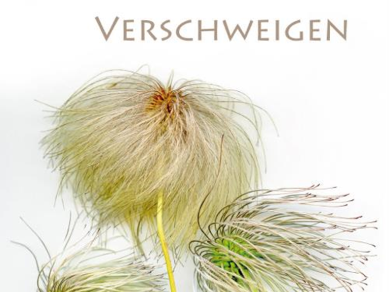 Cover von Frettlöh, Verschweigen