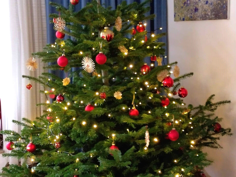 Weihnachtsbaum im Nachbarschaftszentrum Friesdorf