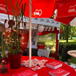 Unser Stand auf dem Sommerfest in Bad Godesberg