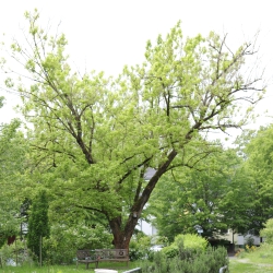 Unser Außenbereich